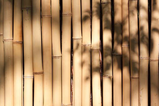 kayu bambu